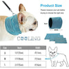 Summer Ice Cooling Collar