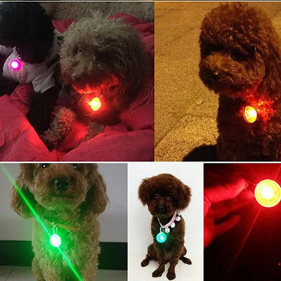 LED Glowing Tag