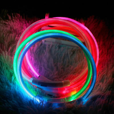 Glowstick Dog Collar