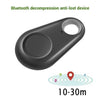 Bluetooth GPS Tag