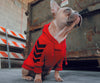 Wagapup London. where fashion meets fur!